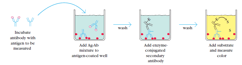 Elisa Principle Procedure Types Applications And Animation 7400