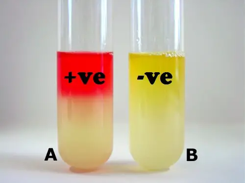 methyl-red-test