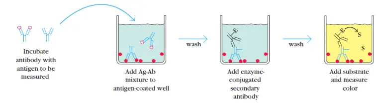 ELISA : Principle, Procedure, Types, Applications And Animation ...