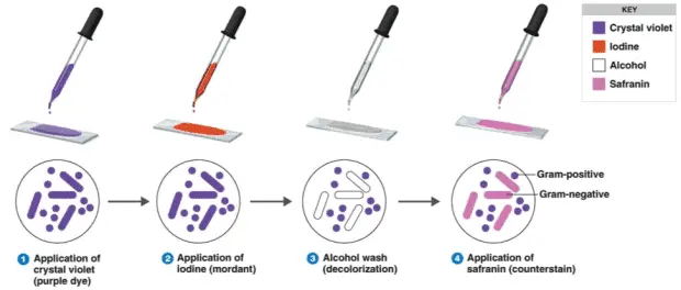 All About Medical Laboratories | LaboratoryInfo.com