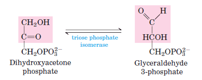 glycolysis-step-5 Interconversion of the Triose Phosphates