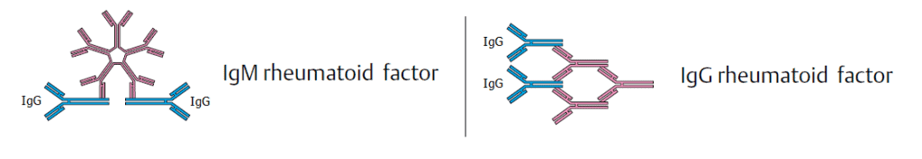 rheumatoid-factor-rf-test-principle-procedure-interpretation-and