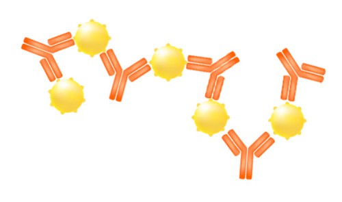 Antibodies and antigens reacting on each other image photo picture