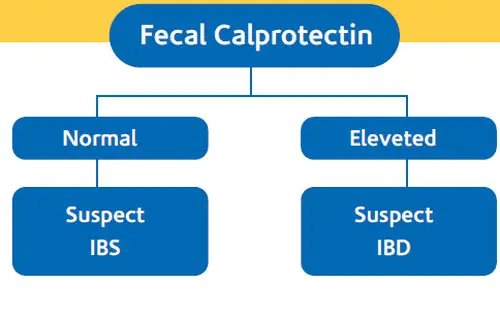 A fecal calprotectin test