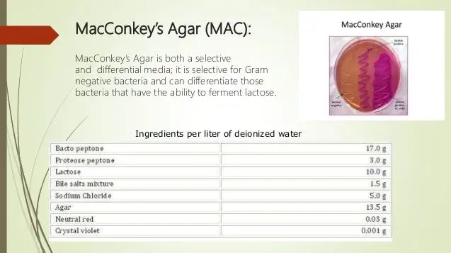 Different components of MacConkey agar