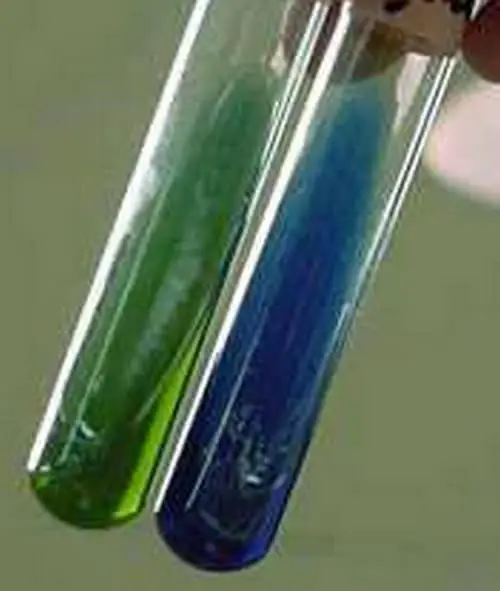 biochemical test wherein two test tubes