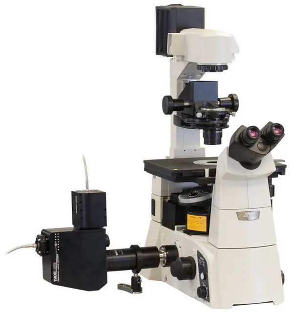 image above is a confocal microscope