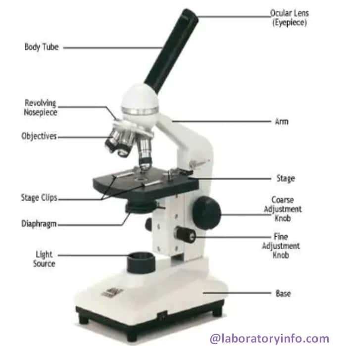 Image result for labeled diagram of a microscope