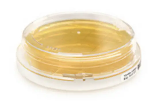 tryptic soy agar plate containing lecithin tween
