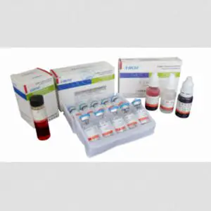 Phenylalanine Deaminase Test – Procedure, Principle and Uses