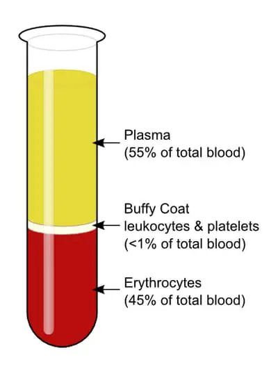 test tube outlining the different components of the blood wherein the buffy coat