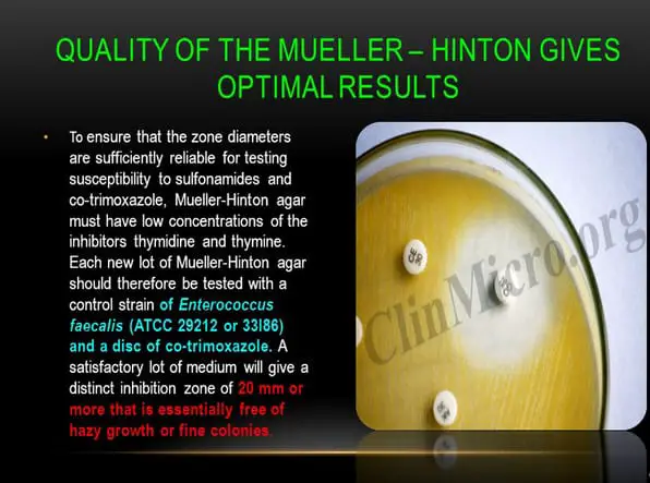 Quality control is a must when performing susceptibility testing using Mueller Hinton agar