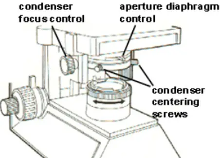 The aperture diaphragm control