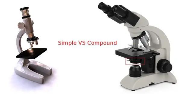 comparison image between a simple and compound microscope