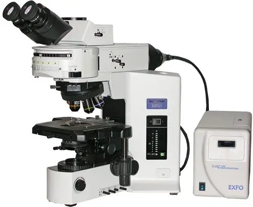 fluorescence microscope uses a special light source