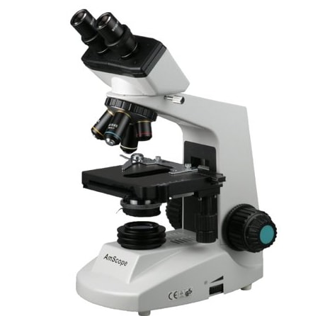 Types of Microscopes - Laboratoryinfo.com