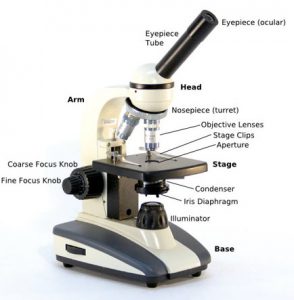 Compound Microscope - Types; Parts; Diagram; Functions and Uses