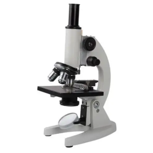 image of a compound microscope