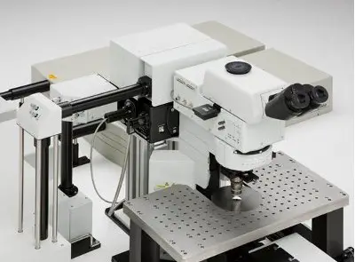 multiphoton excitation microscope from Olympus