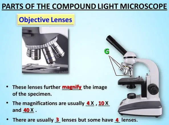 objectives of a compound microscope