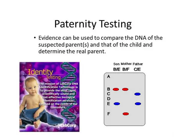 southern blot is one of the procedures used in paternity testing