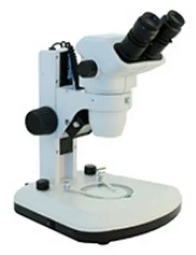 stereo microscope provides a 3D view of the specimen