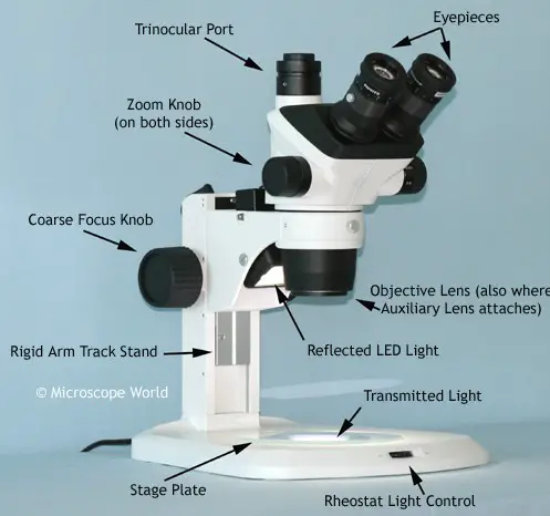 stereo zoom microscope looks like