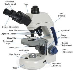 aillumination is at the center of the base