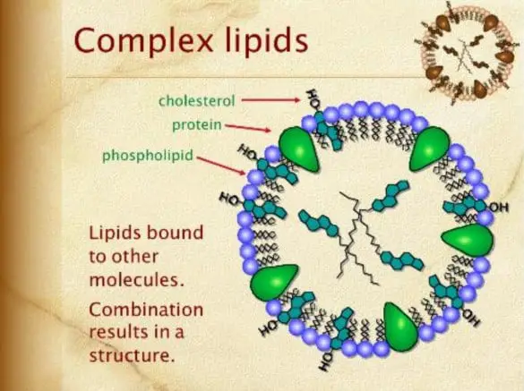 A structural presentation of complex lipids