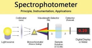 Spectrophotometer – Principle, Types, Uses And Applications ...