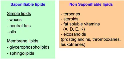 chart comparing non-saponifiable and saponifiable lipids