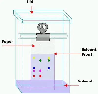 principles of paper chromatography
