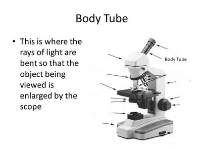 body tube part of a microscope