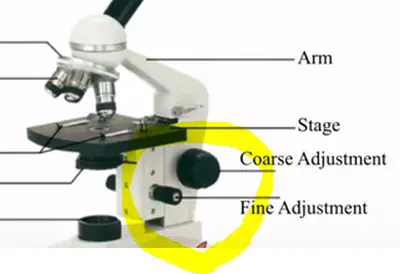 circled parts of the microscope are the fine and coarse adjustment knobs