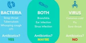 Is my cold bacterial or viral?