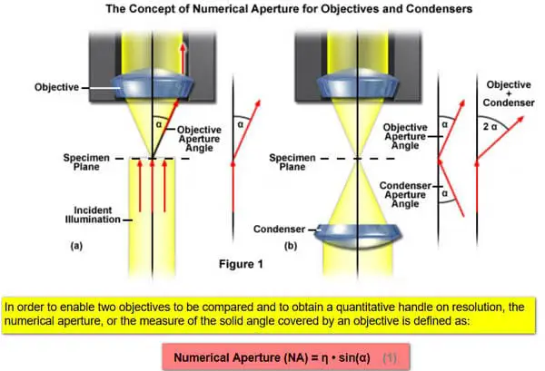 concept of numerical aperture for objectives and condensors