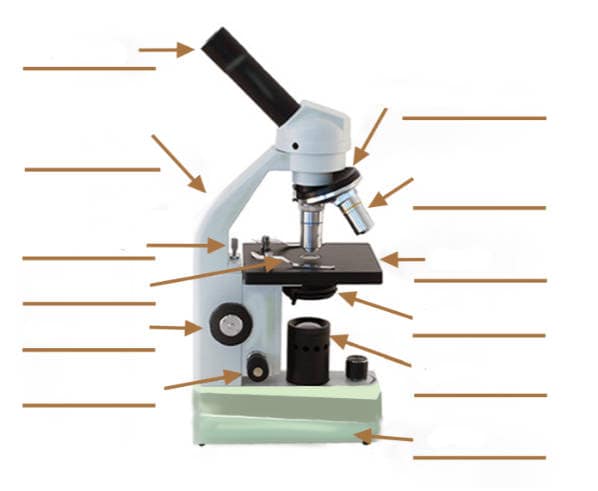 Label Parts Of Microscope Worksheet Martin Printable Calendars Riset