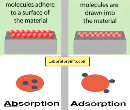 Difference between absorption and adsorption