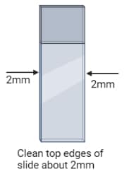 step2 of gram stain procedure clean slide for gram stain test image