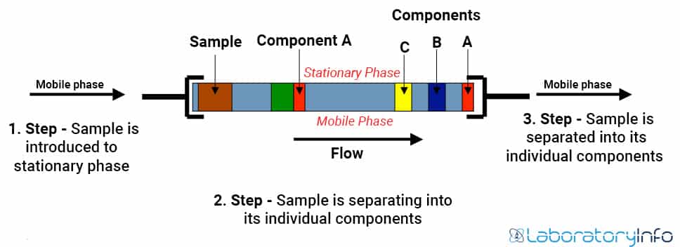 how is chromatography used in forensic science