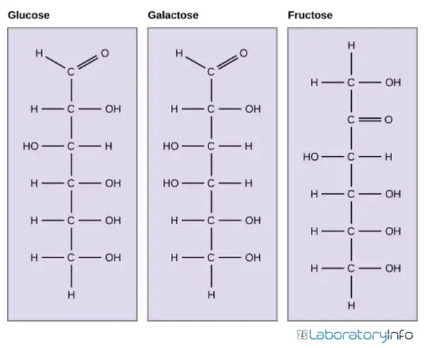 Fig Structures of glucose galactose and fructose that are isomers