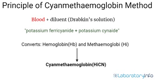 Figure showing the basic principle of Drabkin s solution for the estimation of Hb image