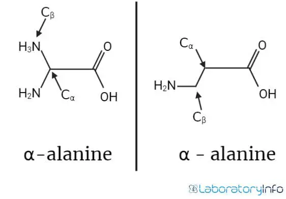 Structure of α alanine and β alanine image