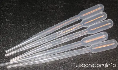 Transfer Disposable Pipettes