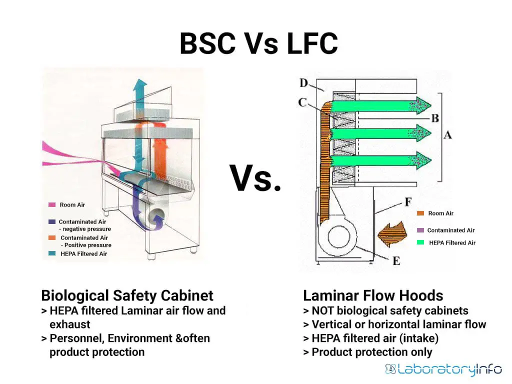 Laminar Flow Hood vs. Biological Safety Cabinet diagram image